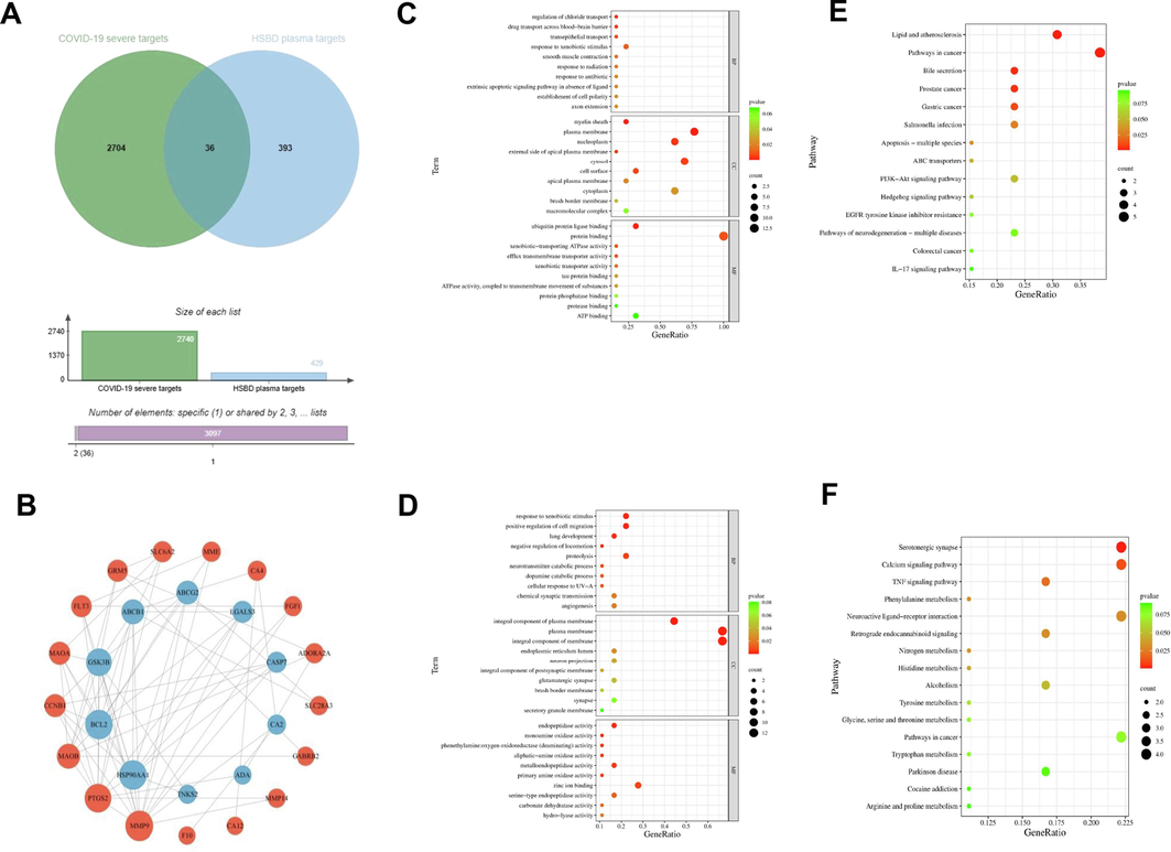 Network pharmacological analysis was conducted to investigate the plasma-absorbed components of HSBD for treating severe COVID-19. A. Identification of shared targets between severe COVID-19 and HSBD plasma-absorbed components. B. PPI network analysis of the action targets for HSBD plasma-absorbed components and their intersection with severe COVID-19 targets. C. GO annotation for down-regulated DEGs. D. GO annotation specifically for up-regulated DEGs. E. KEGG pathway enrichment analysis for own-regulated DEGs. F. KEGG pathway enrichment analysis for up-regulated DEGs.