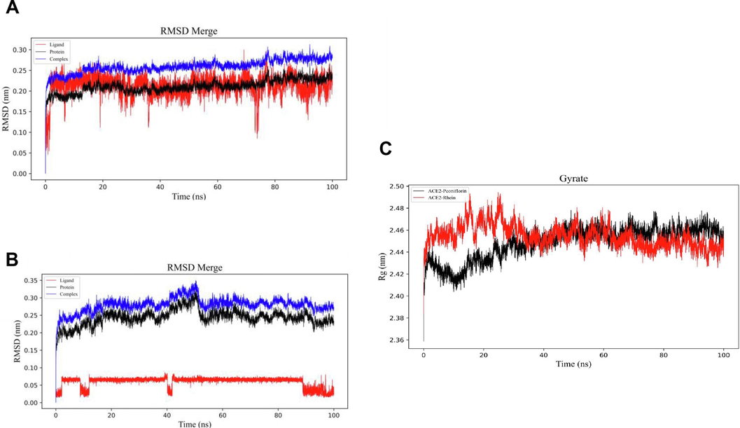 Molecular dynamics (MD) analysis was performed to assess the interaction between Rhein, Paeoniflorin and hACE2, focusing on root mean square deviation (RMSD) and gyration. A. Molecular dynamics simulations of Rhein and hACE2 (RMSD Merge). B. Molecular dynamics simulations of Paeoniflorin and hACE2 (RMSD Merge). C. Molecular dynamics simulations of Rhein, Peoniflorin and hACE2 (Gyrate). Gyrate is an indicator of the overall structural compactness of the protein molecule.