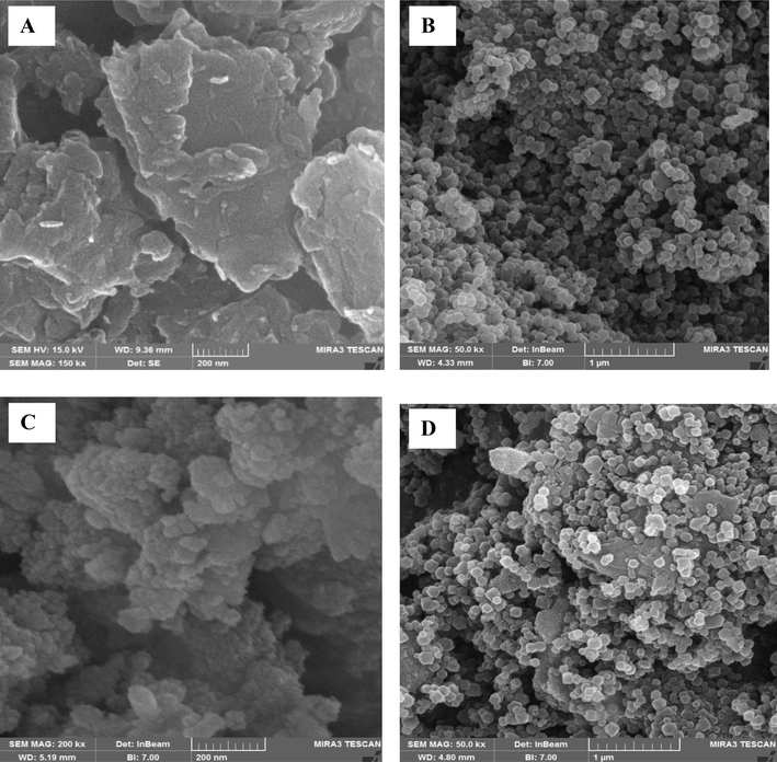 FE-SEM images of g-C3N4 (A), ZIF-8 (B), CuFe2O4 (C), ZIF-8/g-C3N4/CuFe2O4 nanocomposite (D).