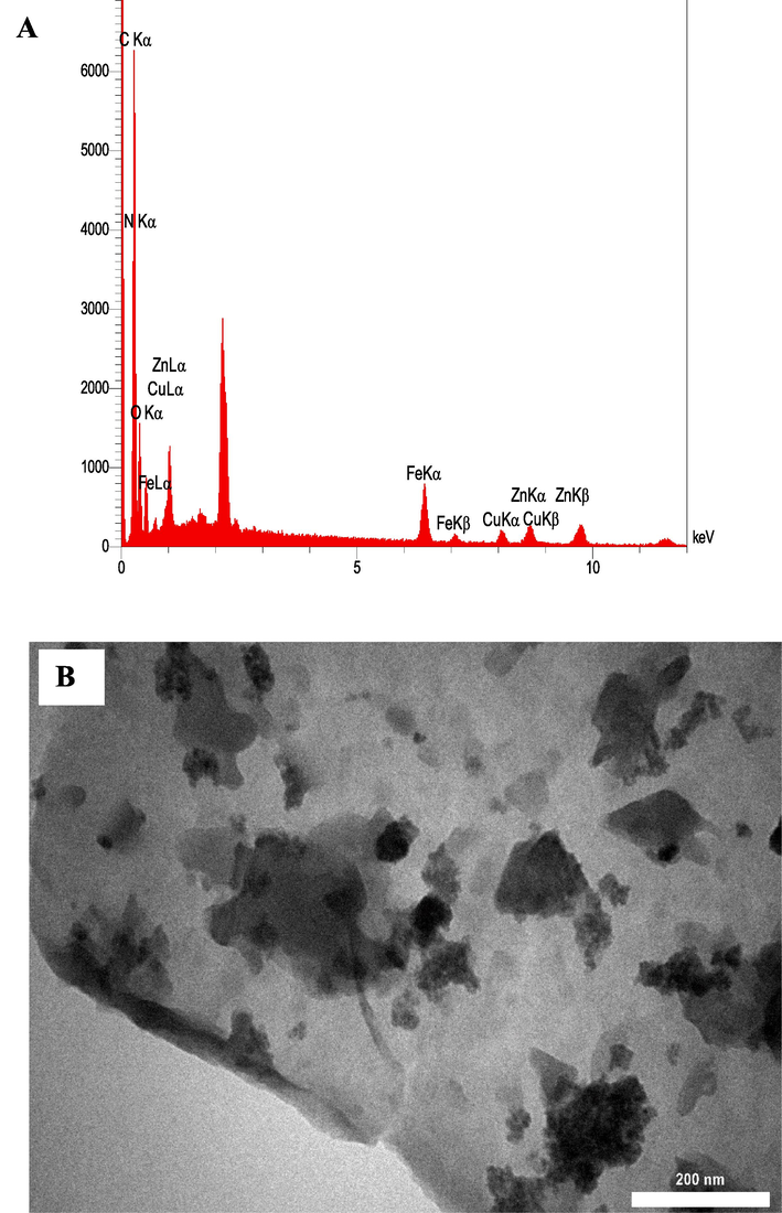 EDS spectrum (A), and TEM image of ZIF-8/g-C3N4/CuFe2O4 nanocomposite (B).