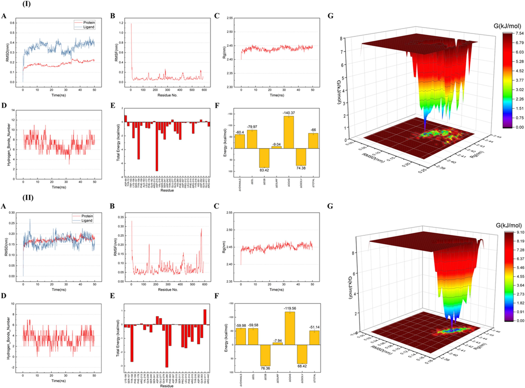 The results of molecular dynamics simulation for the binding of 3,4,5-tri-CQA (I) and ilexsaponin A1 (II) with α-glucosidase for 50 ns. Root-mean-square deviation (RMSD) plots (A). Root-mean-square fluctuation (RMSF) plots (B). Radius of gyration (Rg) results (C). Change in the number of hydrogen bonds (D). Contribution of the residues to the total binding free energy (E). Binding free energy values (kcal/mol) calculated by MM/GBSA method (F). The free energy landscape (G).