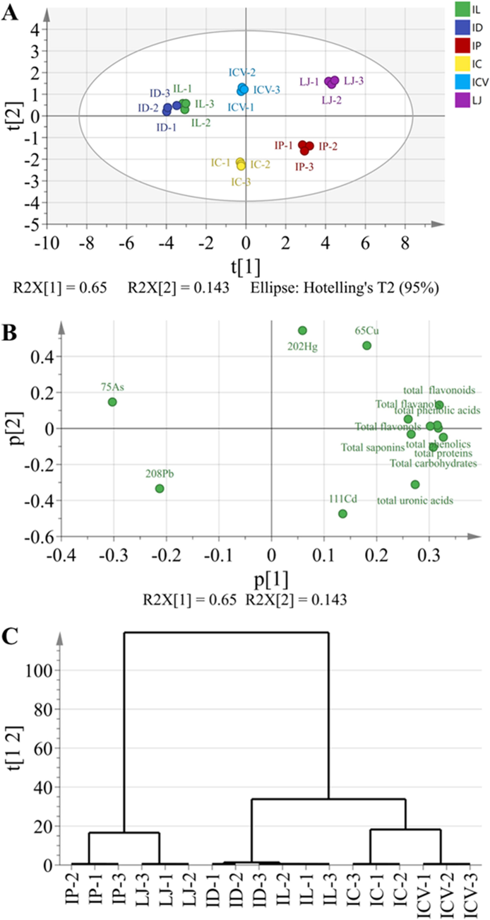 Principal component and hierarchical cluster analyses of different KT original plants. The PCA score scatter plot (A), loading scatter plot (B), and hierarchical cluster analysis (C) are based on the contents of heavy metals and bioactive constituents.