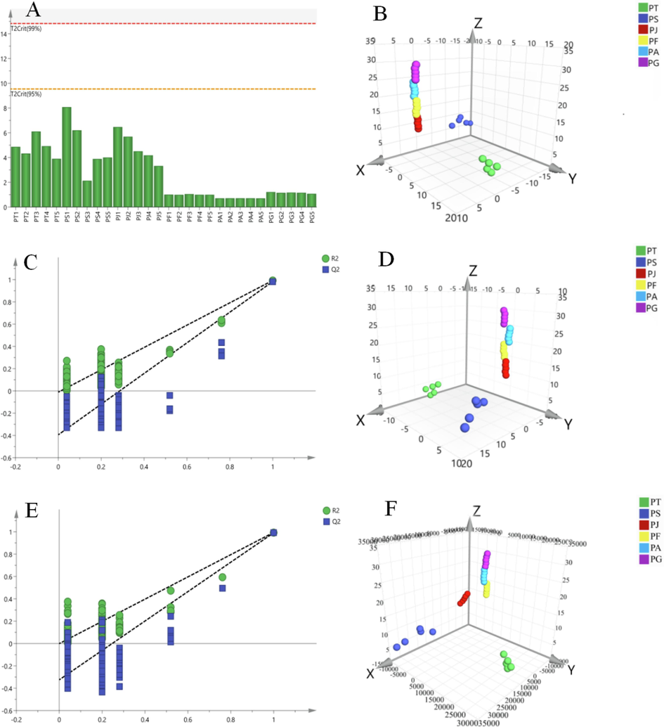 Chemometric analysis of six Polygala species: (A) Hotelling's T2 Range, (B) Scores plot of PCA-X, (C) Permutation Plot of PLS-DA, (D) Scores plot of PLS-DA, (E) Permutation Plot of OPLS-DA, (F) Scores plot of OPLS-DA.