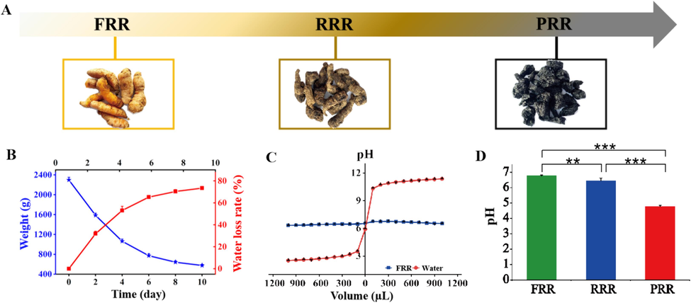 (A) Variations in the appearance during the processing from FRR to PRR. (B) Variations of the weight and water loss rate during the processing of RRR. (C) The buffering capacity of FRR. (D) The pH values in different processed RR products. *P＜0.05; **P＜0.01; ***P＜0.001.