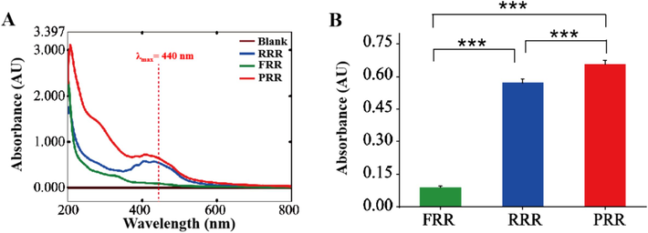 (A) UV–vis absorption curves of MRPs in different processed RR products. (B) The absorbance value of MRPs at 440 nm (n = 3). *P＜0.05; **P＜0.01; ***P＜0.001.