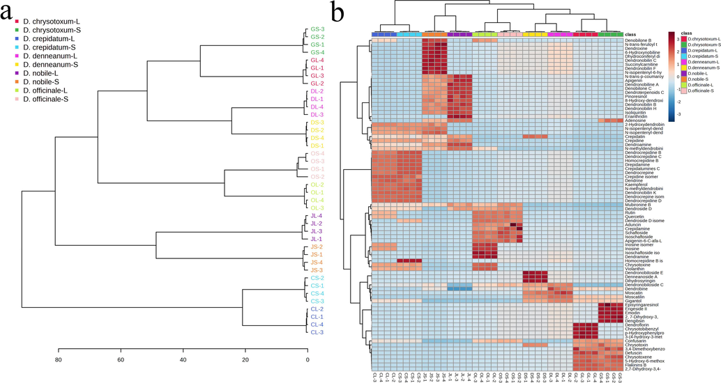 Hierarchical cluster analysis. a. HCA of 40 Dendrobium samples. b. Heat map visualization for deferent tissues of Dendrobium by 88 screened potential biomarkers. Abscissa indicates the samples information, the ordinate indicates the differential metabolites which are presented as the metabolite names. The color squares changed from blue to red indicate the increasing amount of the metabolites. Data are presented five replicates. Clustered image map (red color: high content; blue color: low content) based on the chemical composition dataset. GS and GL is the "Stem" and "Leaf" of D.chrysanthum, DS and DL is the "Stem" and "Leaf" of D.denneanum, OS and OL is the "Stem" and "Leaf" of D. officinale, JS and JL is the "Stem" and "Leaf" of D. nobile, CS and CL is the "Stem" and "Leaf" of D. crepidatum.