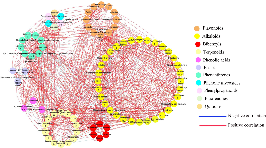 The significant correlation network for five Dendrobium species. Nodes represent metabolites and the size of nodes are related to the connectivity degree. The larger the degree is, the larger the node is. And the color of the edge represents correlation, which means red indicates positive correlation, and blue indicates negative correlation. The width of the edge represents the absolute value of the correlation coefficient. If the line is thick, the correlation is great.