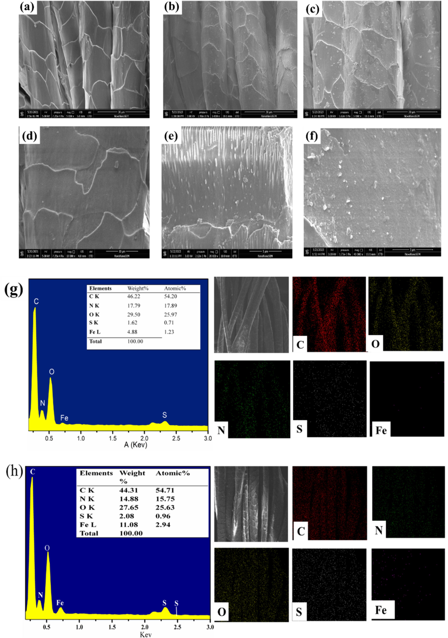 Surface morphology and element analysis（a, d) untreated wool fabrics（b,e）HP-β-CD /Fe3O4@WF, (c,f）HP-β-CD /Fe3O4/LA0.2@WF; EDS of (g) HP-β-CD /Fe3O4@WF and (h) HP-β-CD /Fe3O4/LA@WF.