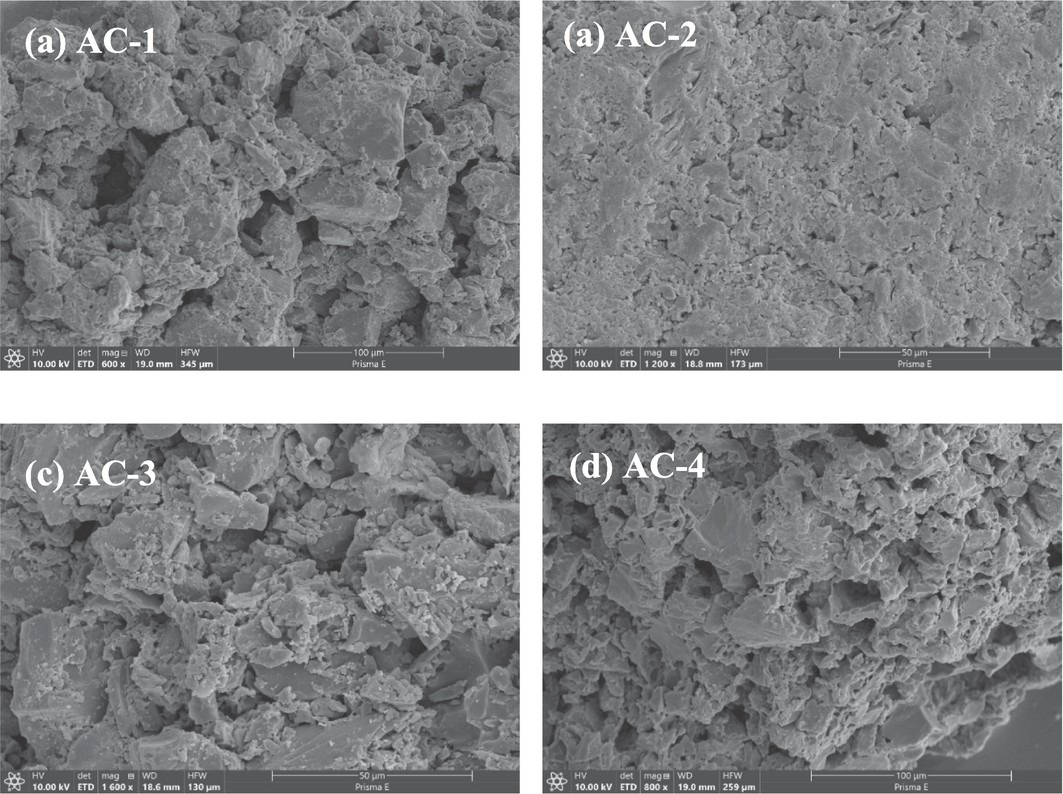 SEM images of (a) AC-1, (b) AC-2, (c) AC-3, and (d) AC-4.