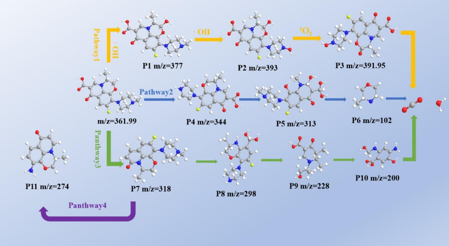 Proposed OFX degradation pathways.