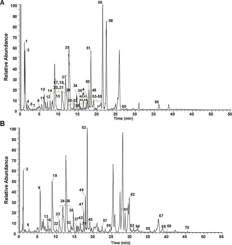 TIC of 80 % ethanolic extract of S. chirayita in the negative (A) and positive (B) ion modes.