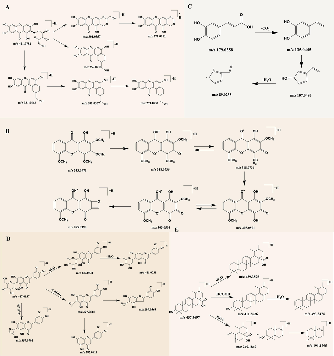 Diagram of cleavage pattern of chemical composition of 80% ethanolic extract of S. chirayita.