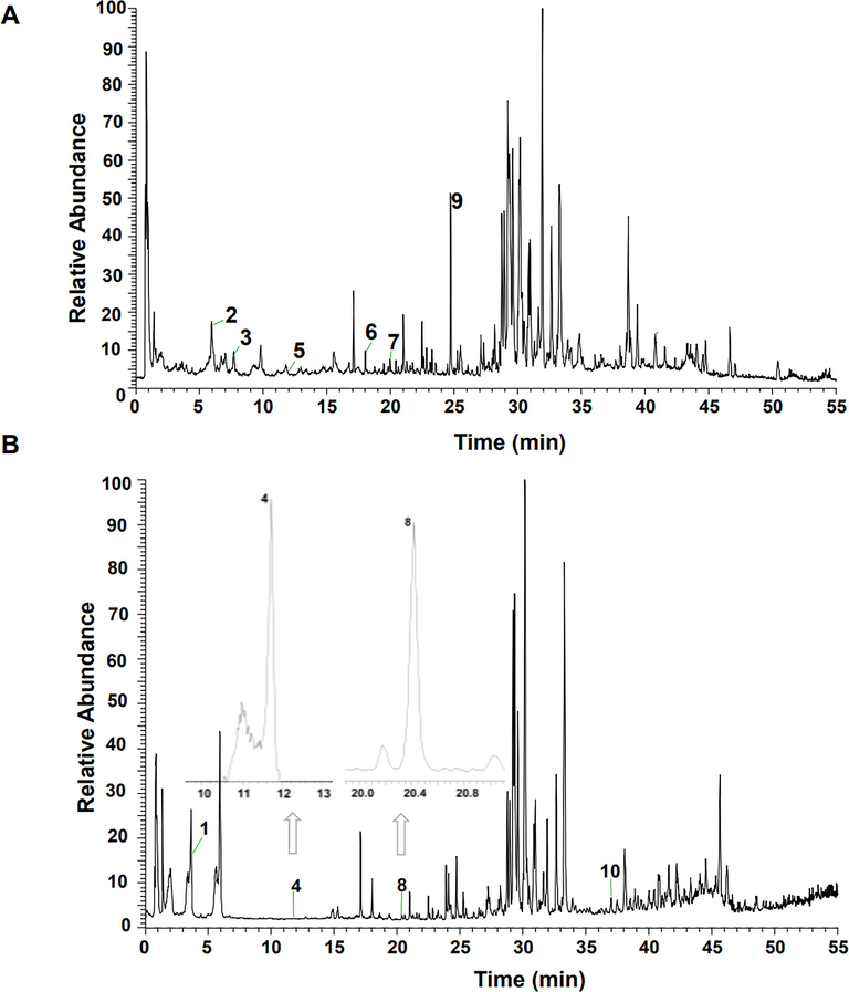 TIC of drug-containing plasma in the negative (A) and positive (B) ion modes.