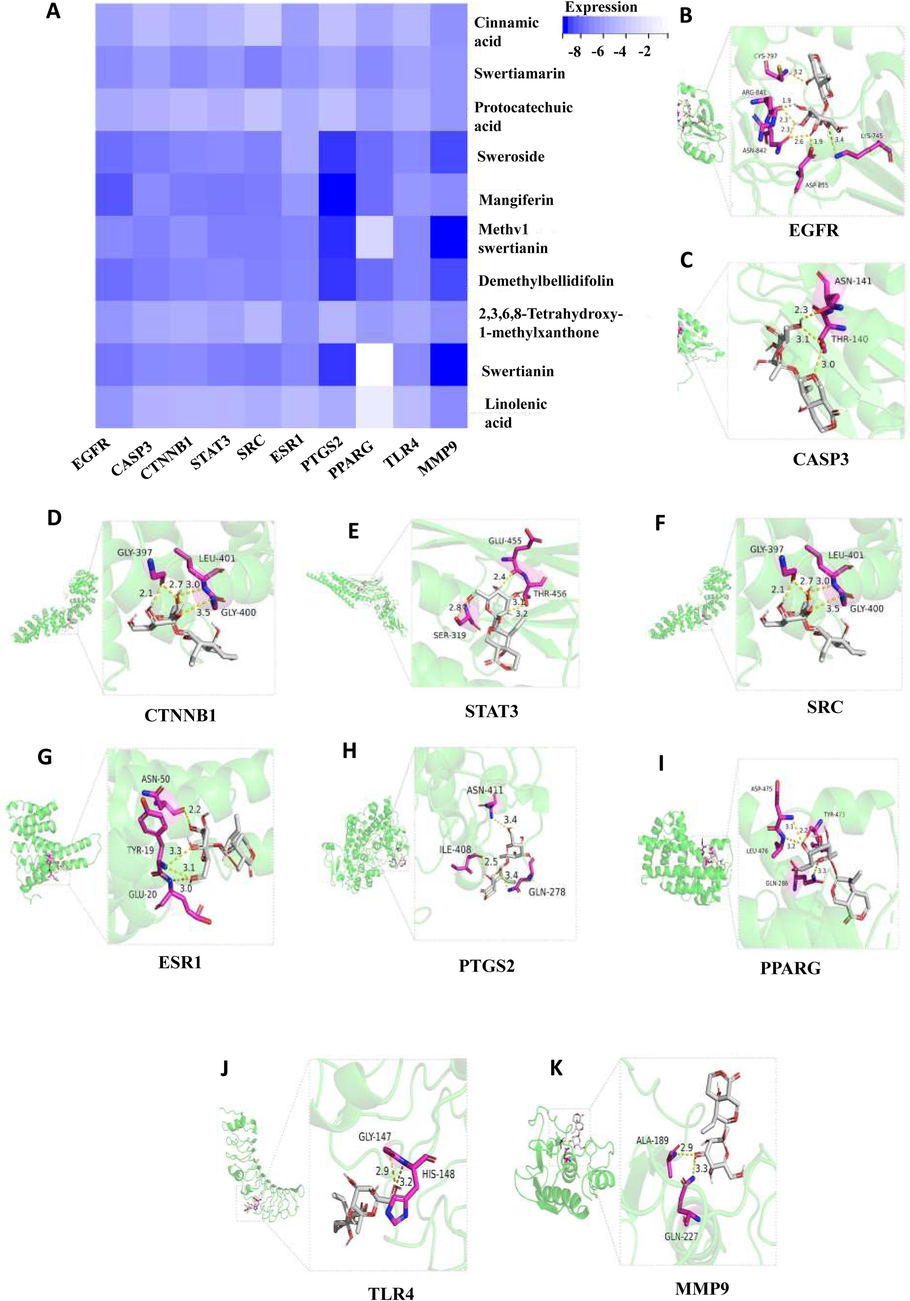 Docking patterns of 10 targets with STW with the lower binding ability. (A) EGFR&STW, (B) CASP3&STW, (C) CTNNB1&STW, (D) STAT3&STW, (E) SRC&STW, (F) ESR1&STW, (G) PTGS2&STW, (H) PPARG&STW, (I) TLR4&STW, (J) MMP9&STW.