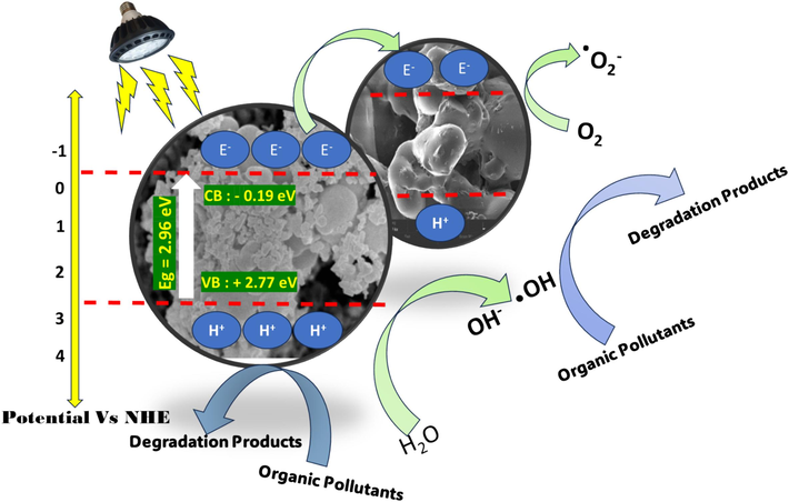 Scheme prediction degradation of organic pollutants (Ciprofloxacin and Paracetamol).