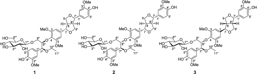 Structures of sesquineolignan glycosides 1–3.