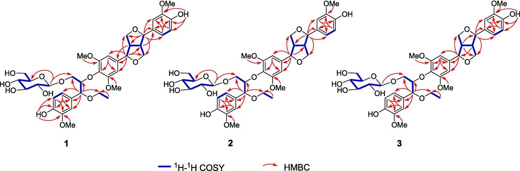 Key HMBC and 1H–1H COSY correlations of compounds 1–3.