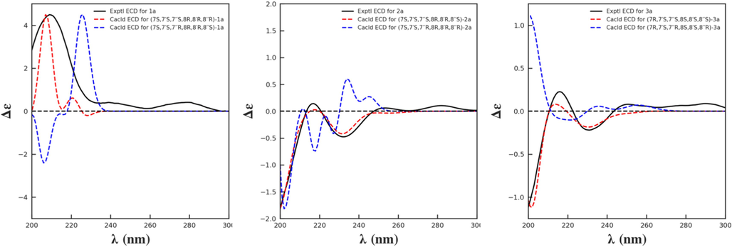 Experimental and calculated ECD spectra of compounds 1a–3a.