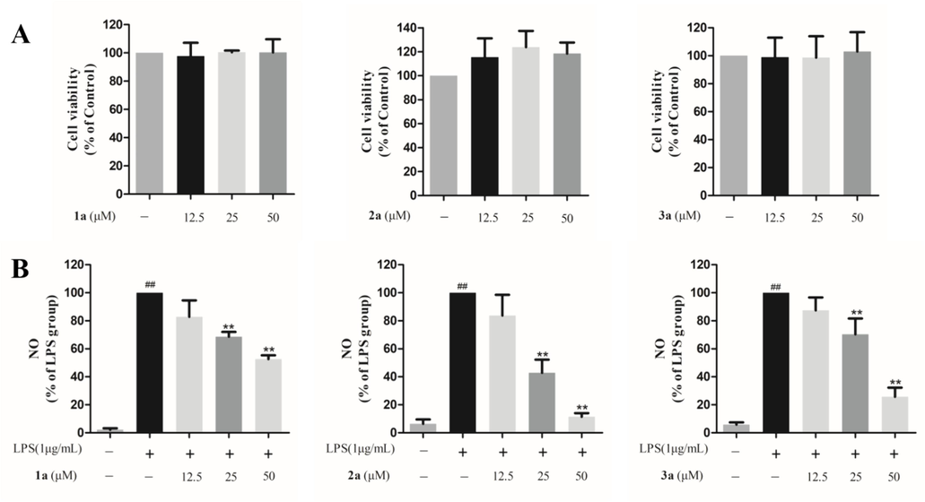 Effects of compounds 1a–3a on NO release from macrophages. (A) Effects of compounds 1a–3a on the survival rate of normal macrophages. (B) Effects of compounds 1a–3a on NO release from macrophages. Data are shown as mean ± SD of three independent experiments. ##P < 0.01 vs. untreated control; **P < 0.01 vs. model group.