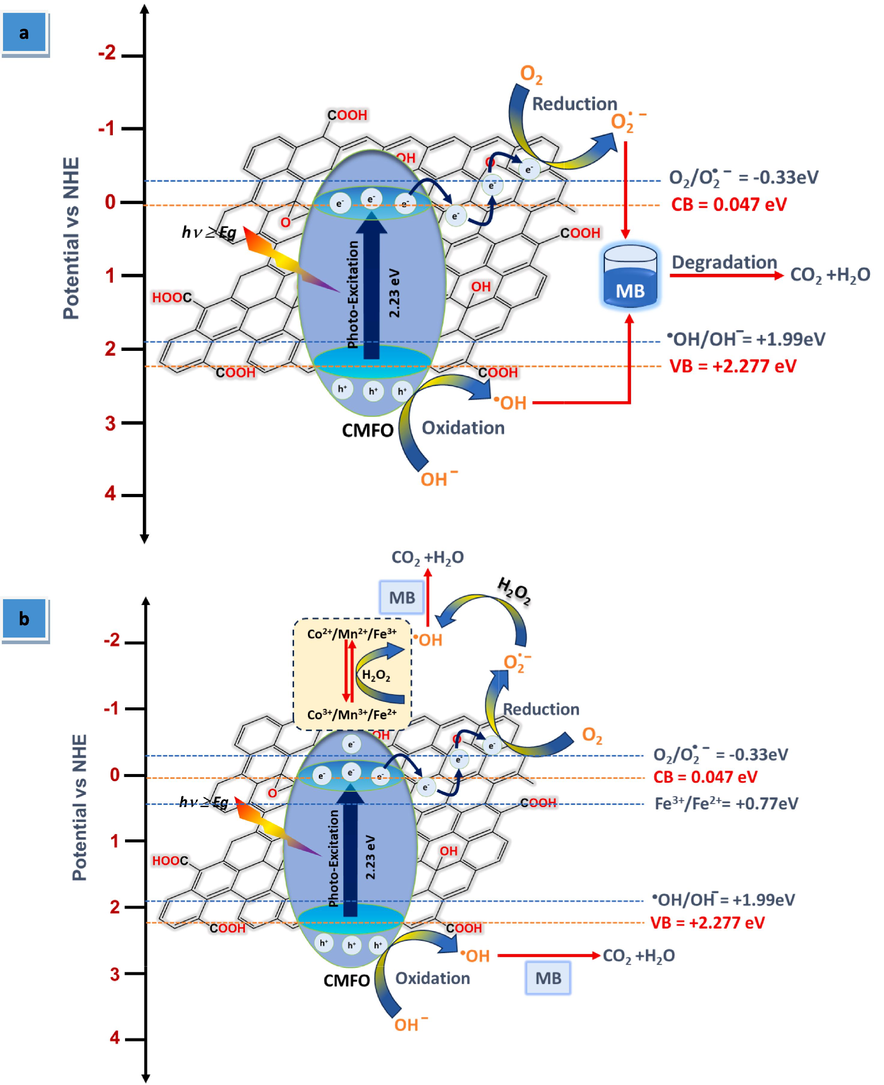 A schematic illustration of the proposed photocatalytic degradation mechanism of MB over CMFO/GO photocatalyst under visible light with the (a) absence and (b) presence of H2O2.