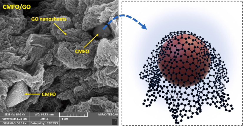 FE-SEM images depicting CS, and the pristine hollow microstructures of CMFO with their histograms. Additionally, images of GO nanosheets. In addition to two distinct CMFO/GO images, with the second image providing an illustrative representation.