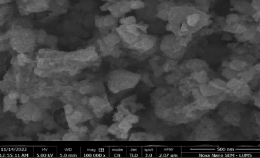 SEM representation of 2-carene based Nanoemulsion.