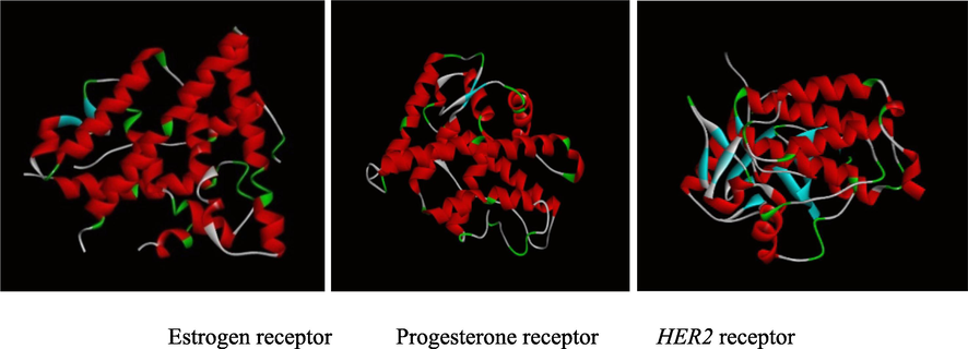 Breast cancer receptors used for In silico study.