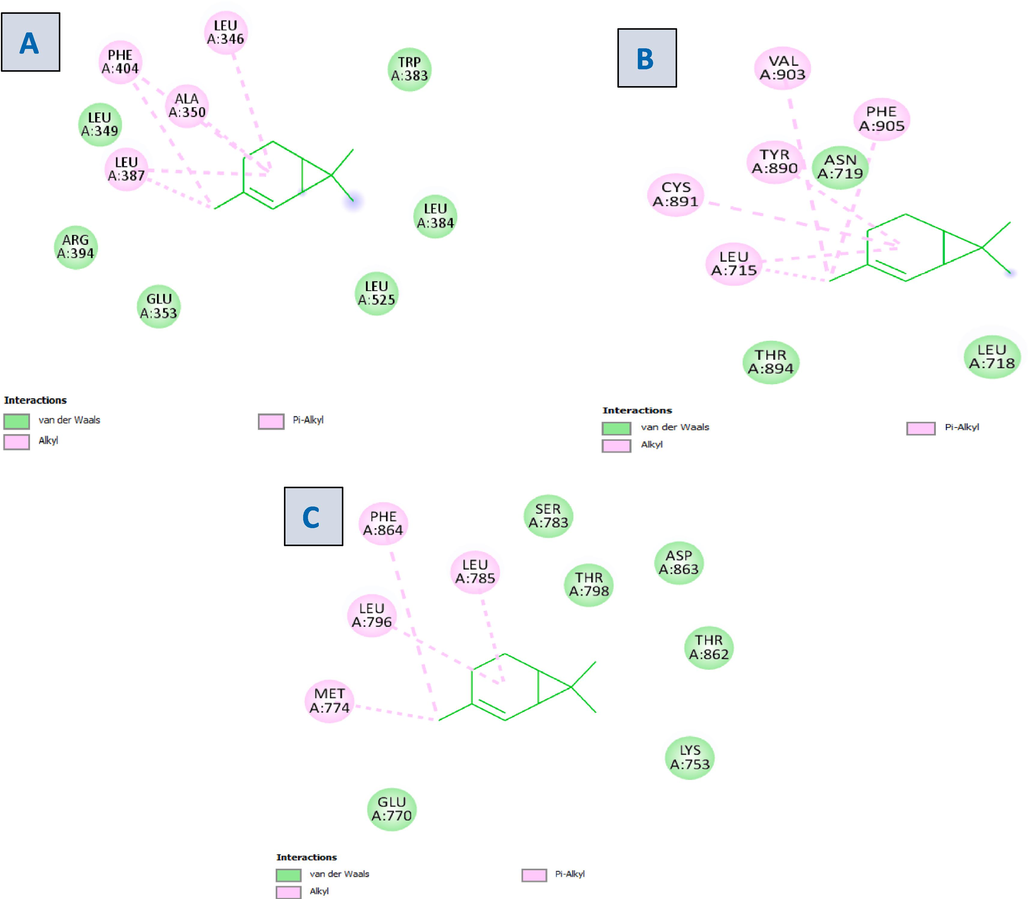 2D visualization of the ligand–protein complex with (A) Estrogen receptor (B) Progesterone receptor (C) HER2 receptor.