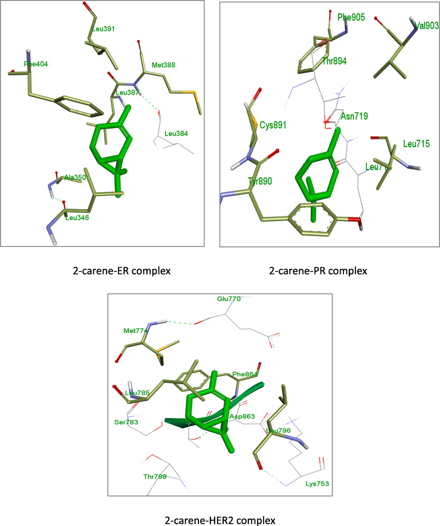 3D images of 2-carene with residual amino acids.