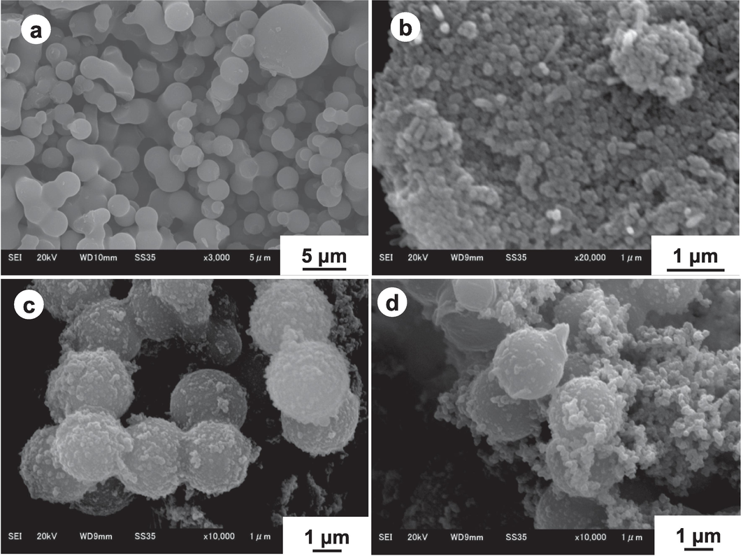 SEM images of (a) BC seed particles, (b) P(Ani-Py) particles, (c) BC/P(Ani-Py)1:0.7 and (d) BC/P(Ani-Py)1:1 composite particles.