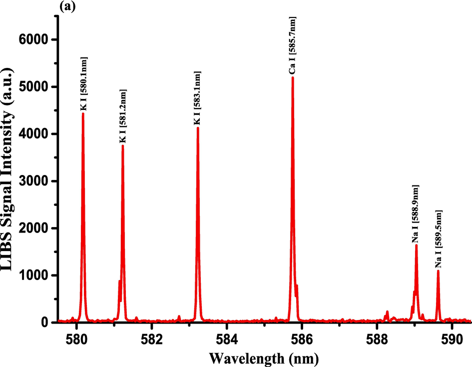 LIBS Emission spectra of the Costus roots (CRs) measured in the wavelength ranges (a) 579.4–590.5 nm, (b) 602.1–617.5 nm, and (c) 765–795.4 nm.