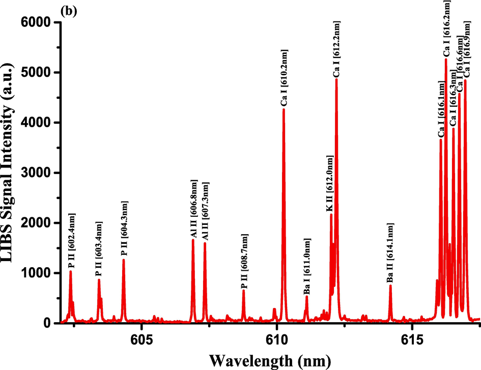 LIBS Emission spectra of the Costus roots (CRs) measured in the wavelength ranges (a) 579.4–590.5 nm, (b) 602.1–617.5 nm, and (c) 765–795.4 nm.