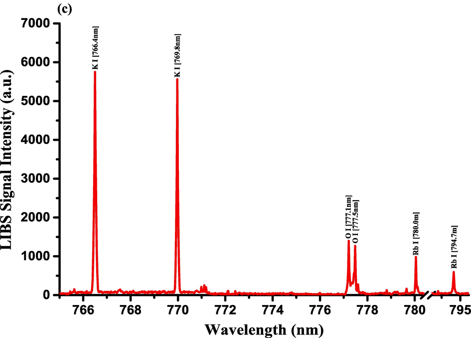 LIBS Emission spectra of the Costus roots (CRs) measured in the wavelength ranges (a) 579.4–590.5 nm, (b) 602.1–617.5 nm, and (c) 765–795.4 nm.