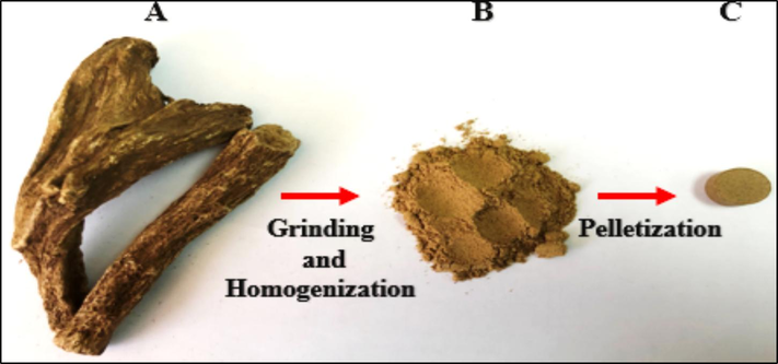 Preparing of dried CRs samples for LIBS analysis, a) dried bulk-roots, b) root powder, and c) root pellet.