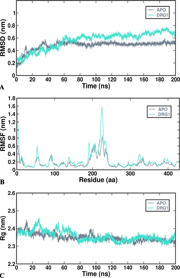 Molecular dynamics and simulations of docked complex- (A) RMSD; (B) RMSF; (C) Rg; (D) SASA; (E) Intra-Hydrogen bond.