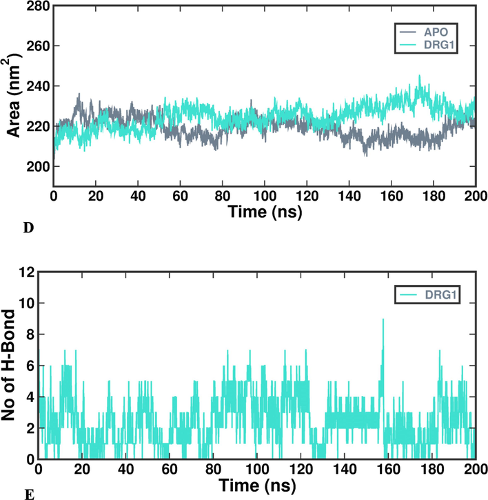 Molecular dynamics and simulations of docked complex- (A) RMSD; (B) RMSF; (C) Rg; (D) SASA; (E) Intra-Hydrogen bond.