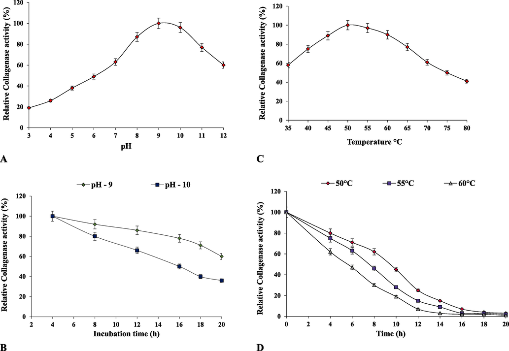 Biochemical characterization of purified recombinant collagenase. (A) effect of pH on collagenase activity, (B) pH stability, (C) effect of temperature on collagenase activity and (D) temperature stability.