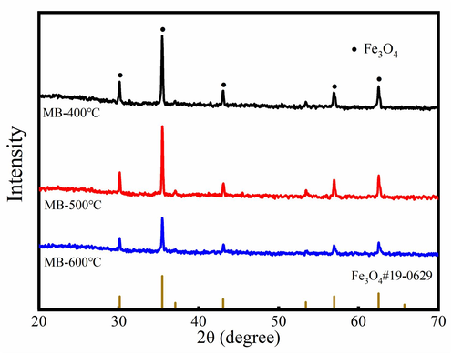 XRD pattern of the magnetic biochar.