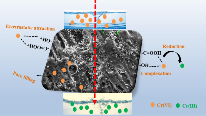 The summary of Cr6+ adsorption mechanism.