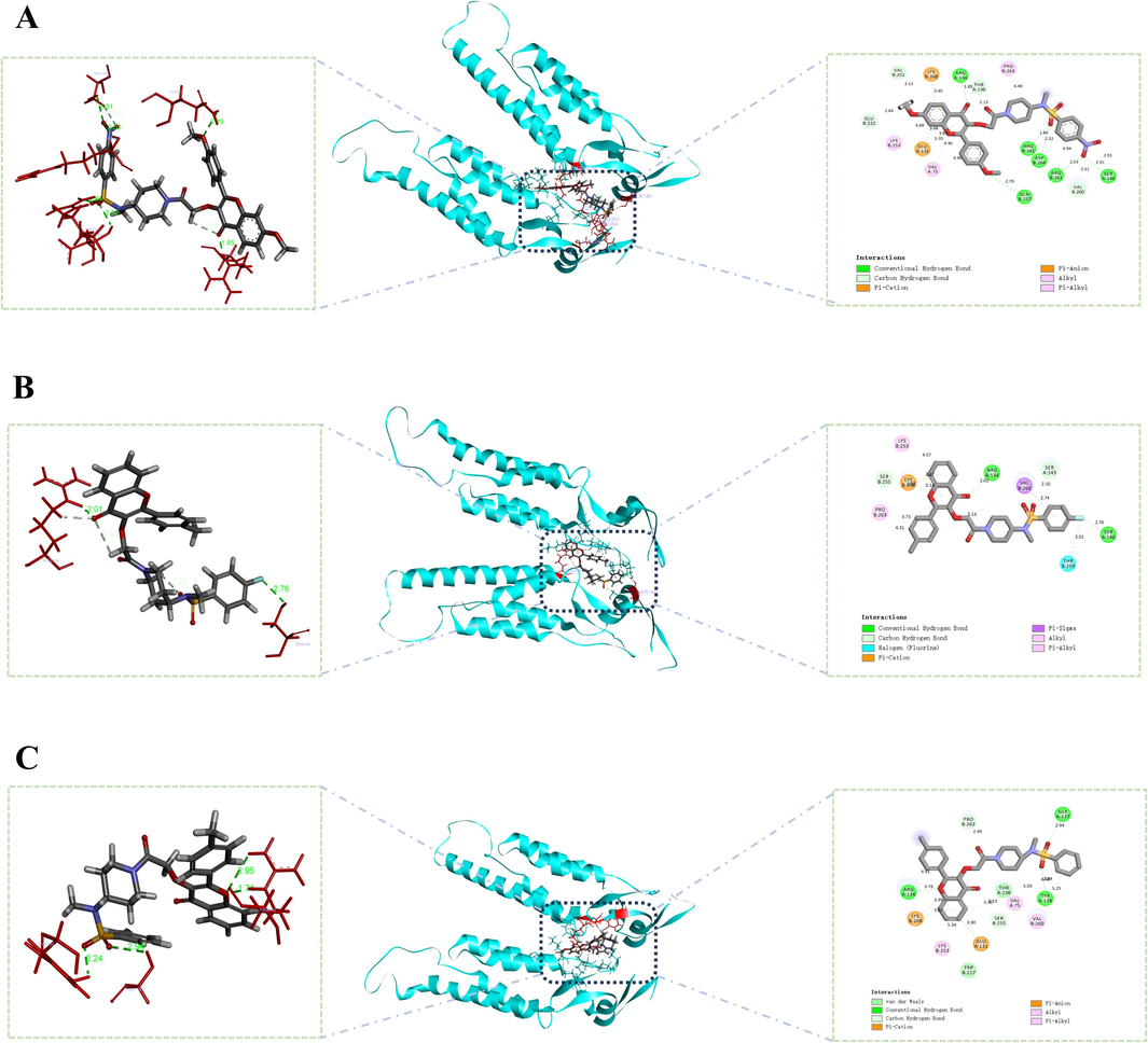 The binding mode of Z6(A), Z15(B) and Z21(C) docked with TMV-CP.