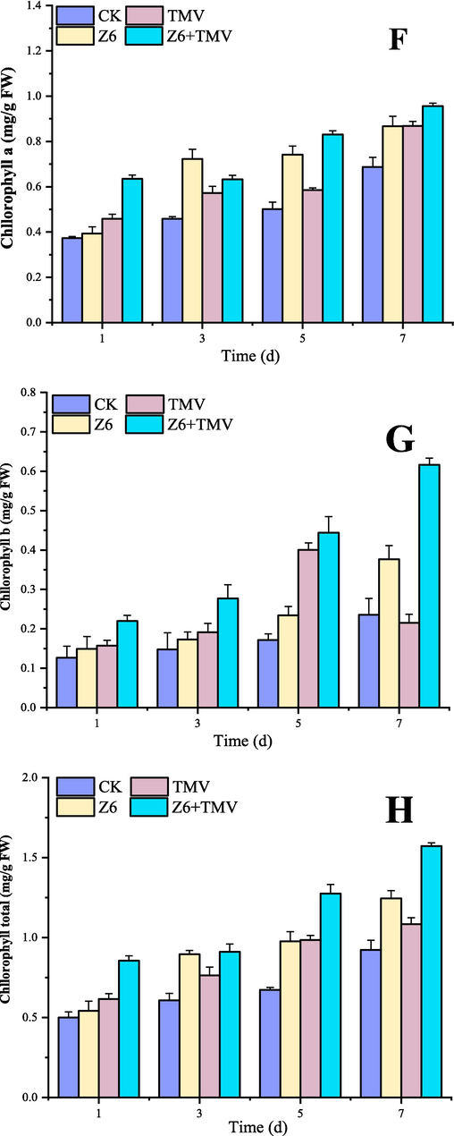 Changes of chlorophyll content in tobacco after Z6 treatment.