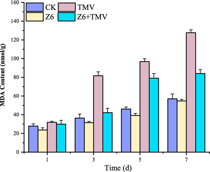Changes of MDA content in tobacco after Z6 treatment.