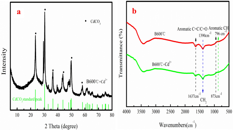 XRD pattern of B600 °C after adsorption Cd2+ (a), FTIR of B600 °C before and after adsorption Cd2+ (b).