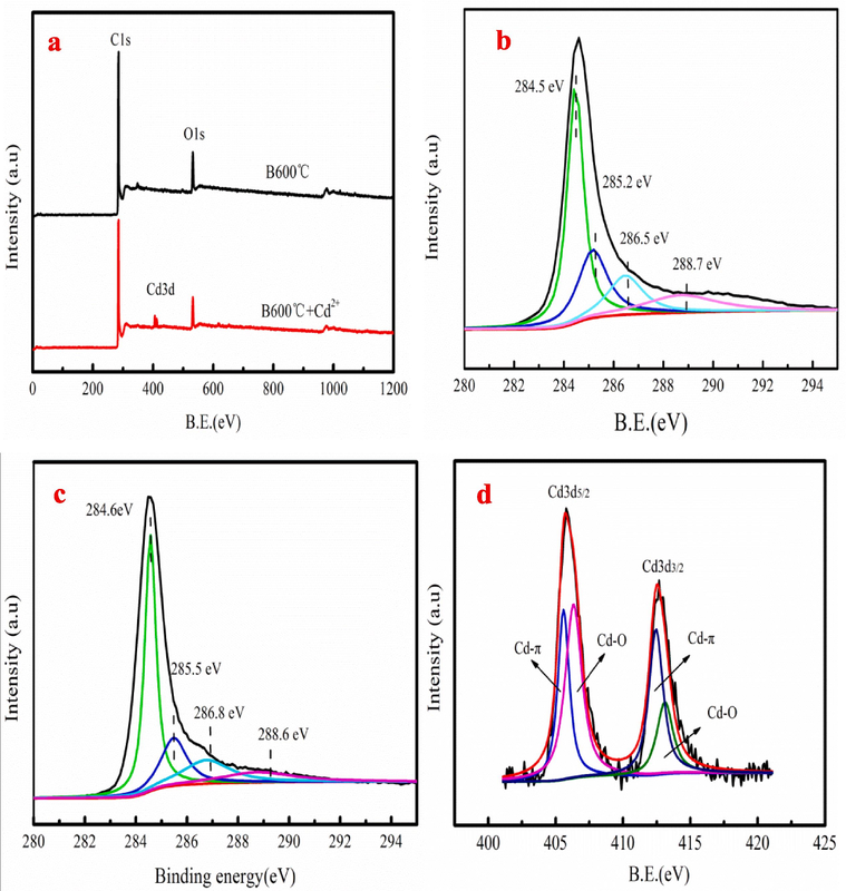 The wide scan XPS spectrum (a) and C 1 s XPS spectra before and after Cd2+ adsorption (b-c), XPS survey spectra along with the spectra of Cd3d (d) after adsorption.