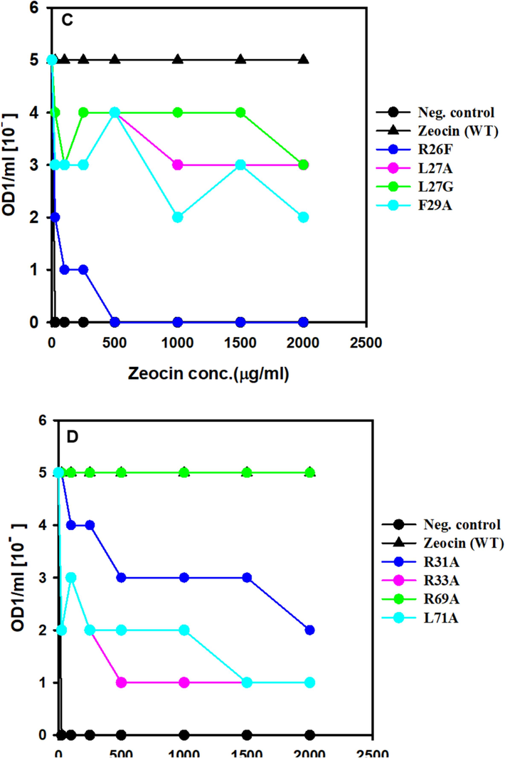 Screening of ZBP variants for MIC. E. coli expressing ZBP variations that were cultivated overnight were adjusted to a concentration of OD1/ml. Cultures were diluted in a series from 10 to 0 to 10 − 5 and then applied as spots on Lennox agar plates that contained varying doses of zeocin. Following an incubation period of 24 h at 37 °C, the presence or absence of growth for each dilution at various zeocin concentrations was recorded and utilized to determine the minimum inhibitory concentration (MIC) values.