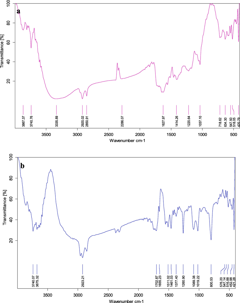 FT-IR analysis of a) E. intestinalis methanolic crude b) E. intestinalis methanolic fraction- 1.