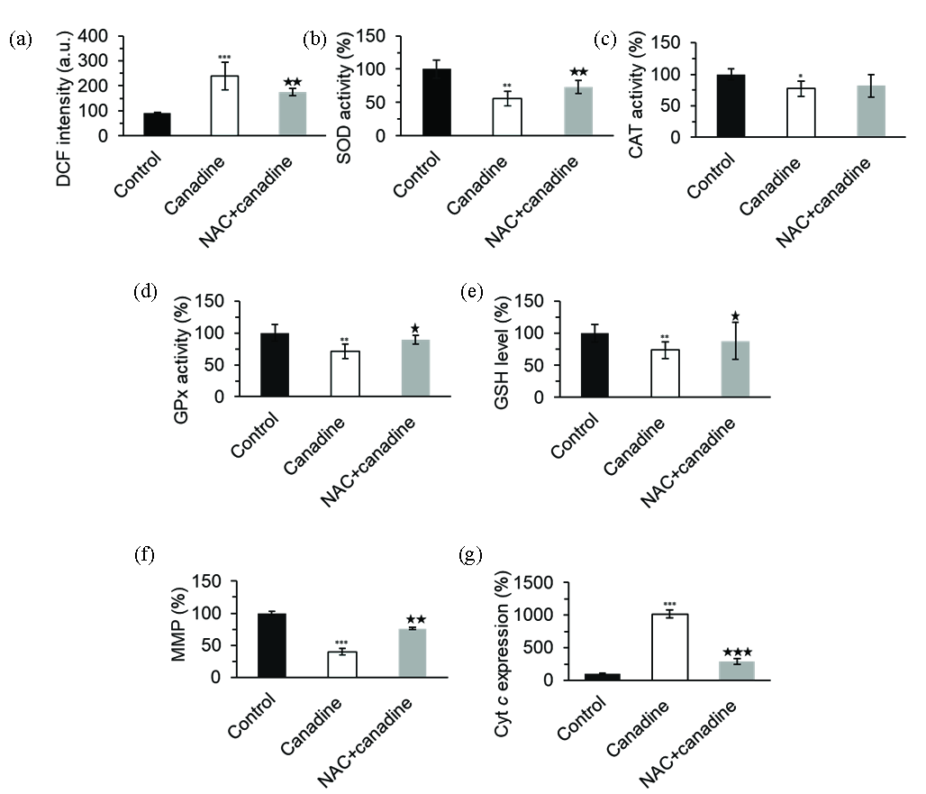 The evaluation of the effect of 17.5 µM canadine or canadine + NAC on (a) ROS production, (b) SOD activity, (c) CAT activity, (d) GPx activity, (e) GSH level, (f) MMP collapse, and (g) Cytc expression in MCF-7 breast cancer cells after 24 h. *P<0.05, **P<0.01, ***P<0.001. *P<0.05, **P<0.01, ***P<0.001 relative to canadine-treated group. CAT: Catalase, SOD: Superoxide Dismutase, GPx: Glutathione Peroxidase, GSH: Glutathione.