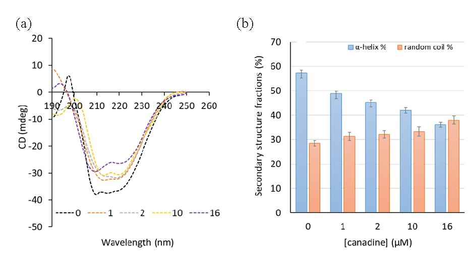 The CD spectroscopy study of (a) the TS-canadine complex and (b) the secondary structure fractions.