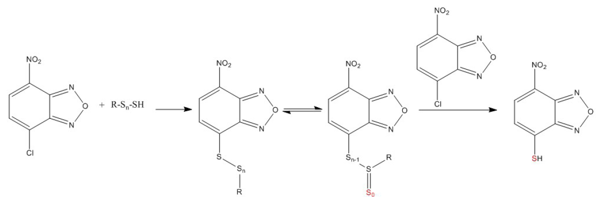 Proper reaction mechanism for 4-chloro-7-nitro-2,1,3-benzoxadiazole (NBDCl) and sulfane sulfur (n=1).