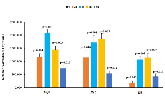 Relative normalized expression of Tnfa, Il1b and Il6 in mice peritoneal macrophages after primed with 100ng∙mL-1 LPS. n=3, P value was calculated by Student’s t-test. NBDSH: 7-nitrobenzofurazan-4-thiol, LPS: Escherichia coli Lipopolysaccharides, ATP: Adenosin 5’-triphosphate.